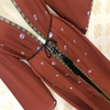  Kimono Jalabiya Morocco Kaftan Arab Bat Sleeve Burka Islamic Clothing Thobe Muslim Abaya 2022 Dubai Modest Turkish Caftan Prayer Women Maxi Dress Open Abaya